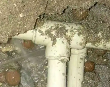 昭苏测漏水多少钱