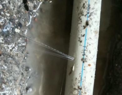 昭苏测漏水哪家好