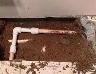 昭苏测漏水哪家好