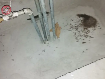 昭苏卫生间测漏水价格明细