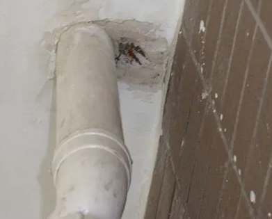 昭苏漏水检测哪家好